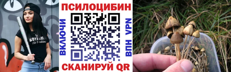 Псилоцибиновые грибы ЛСД Краснообск